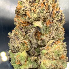 * NEW * Blue Iguana [ Bogo $200 for 4 Oz ]