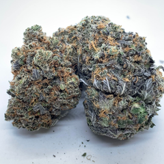 Alien Blackout supreme