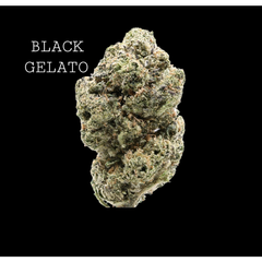 BLACK GELATO