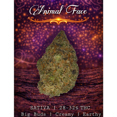 Animal Face 🦓 | Sativa | 28-32% THC | $100 an oz | $150 for 2 ozs | 