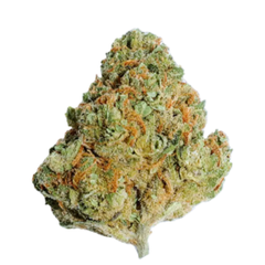 (INDICA) Death Goo