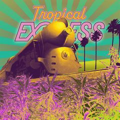 Tropical Express