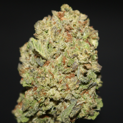 AAA | JEALOUSY BY GREEN DISTRICT - 14G