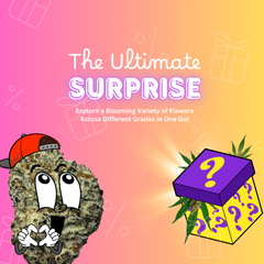 Ultimate Mystery Box Deal