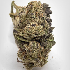 *NEW* Death Punch 4A