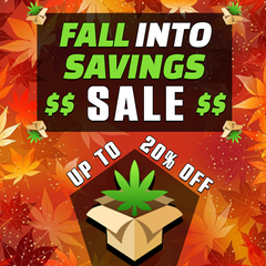 !!FALL INTO SAVINGS SALE!!