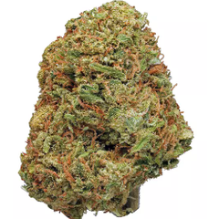 $200 FOR QP-  Jack Black 