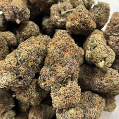 GRAND MASTER FLEX 💪 BC CAFT PICK 