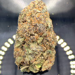 Amsterdam City Diesel AAA