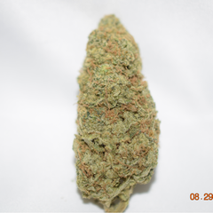 Amnesia Haze Sativa Dominant Hybrid AAA+