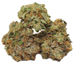 Pink Death AAAA(upper shelf)