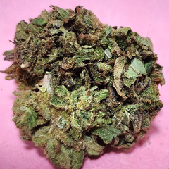 (3 oz For $155) Hawaiian Haze 🔥 🏝️ (Budget Oz)