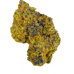 BC (AAA+) PURPLE CANDY