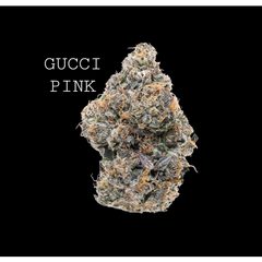 GUCCI PINK