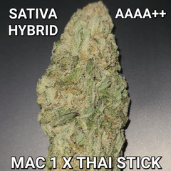 # 70% OFF   7⭐  MAC 1 X THAI STICK AAAA++ SATIVA  (AMAZING TASTE-STRONG) ($75 OUNCE SALE) REG $280