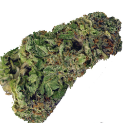 $200 FOR QP - HerMan 