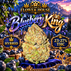 Blueberry King • Hybrid • 23–27% THC • 1 OZ $50 • 2 OZ $80 • 3 OZ $120 • 4 OZ $145
