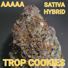 # 70% OFF   7⭐ TROP COOKIES AAAA+ (FROSTY SATIVA) $85 OUNCE SALE  (REG $300)