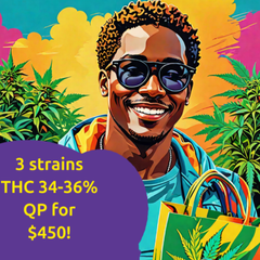 BC FLAMES Combo: Choose from 3 powerful BC FLAMES strains to equal a QP for $450!