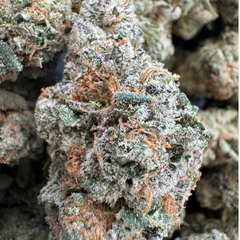 INFATUATION AAAA $120/oz 2FOR220 4FOR420