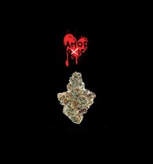 Amor Toxico Premium Flower 3.5g - Black Label Series