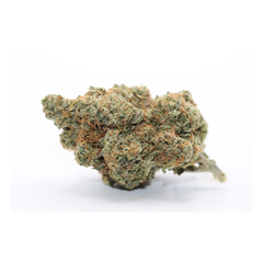 Critical Cheese - AAAA on Sale