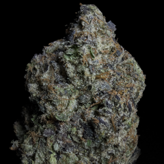 Pink Bubba
