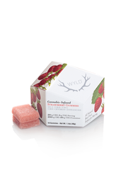 Strawberry 20:1 CBD + Hybrid Enhanced Gummies 200:10mg