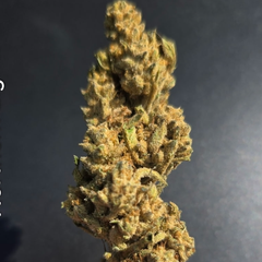 Northern Lights AAA  2 oz For $100 Mix n Match (Bulk Deals See Details)