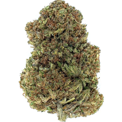 $200 for QP - ALIEN KUSH