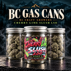  [AAAA+] BC GAS CAN - Cherry Lime Slush LSO - Hybrid - 14G