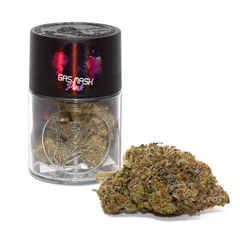 Gas Mask Pink - 7g jar