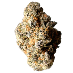 *****Black Truffle