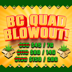 !!BC QUAD BLOWOUT SALE!!