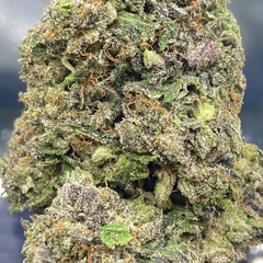 *NEW* Bombsicle