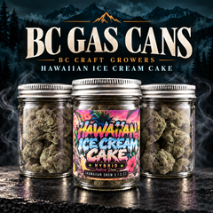  [AAAA+] BC GAS CAN - Hawaiian Ice Cream Cake - Hybrid - 14G