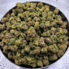 LA Pop Rockz AAAA (Quad Smallz)