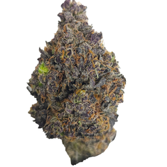 BC (AAAA) WHITE WALKER