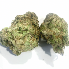 Racoon Sativa
