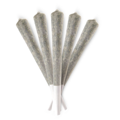 10 KING SIZE PLATINUM KUSH PRE-ROLLS
