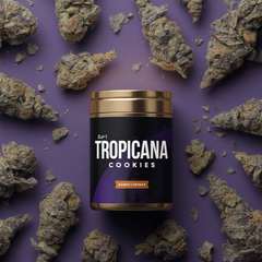       TROPICANA CHERRY (AAA) - 2OZ FOR $100