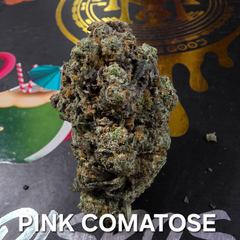 Pink Comatose Indica Dominant 