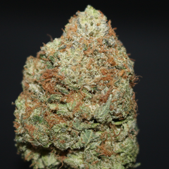 AAAA+ | KANDY PINK BY GAS STATION BOYS - 3.5G