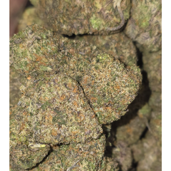 FUNKY SKUNK(kraft kronic) 🔥🔥🔥🔥🔥 