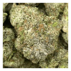 New Bad Bunny Pink 75$OZ 2FOR135$