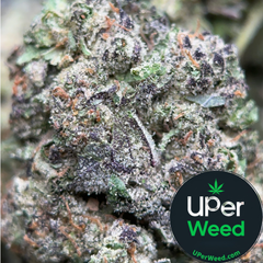 (28G) - Astro Mints 👩‍🚀 Indica - 4Oz Bulk Deal for $250