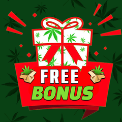 !!FREE BONUS PICKS MENU!!