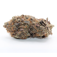 Ghost Ship HYDROPONIC 🔥 Premium AAAA+ ⛽️⛽️