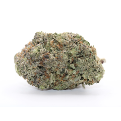 Coast Pink - AAAA+ ⛽️⛽️ 
