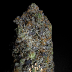 (NEW) LSO Rosè Pink AAAA+ (5*)